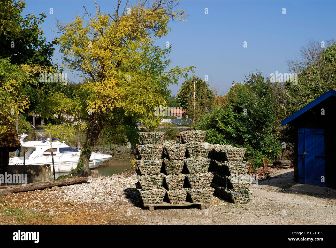 Cestello ostriche al porto di La Trembade in Francia con alberi e un capannone blu nella regione Charente-Poitou Foto Stock