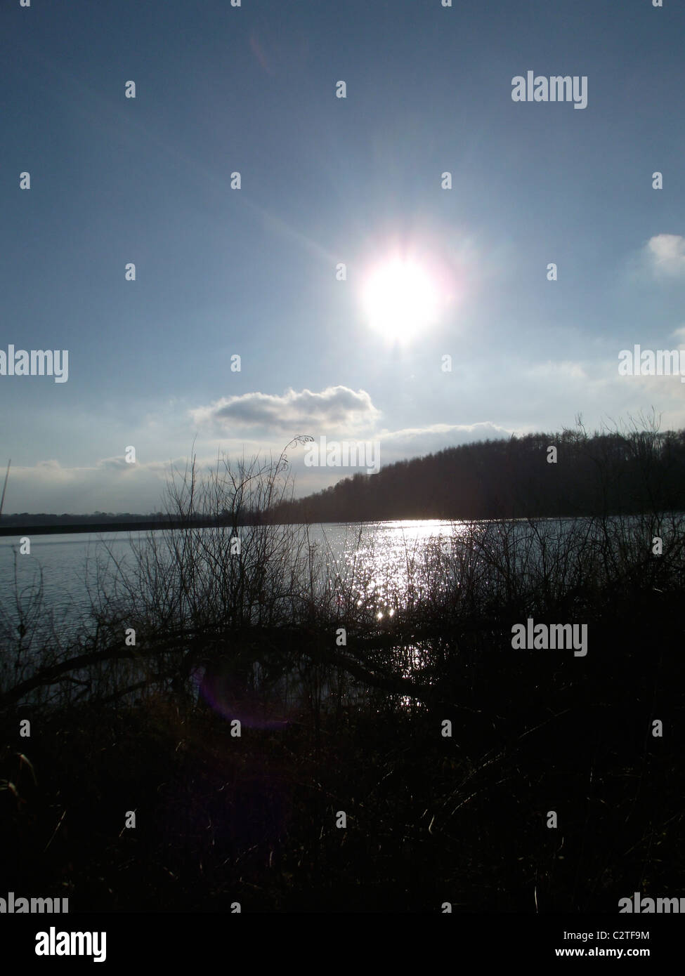 Cancellare il cielo sereno sul lato acqua Foto Stock