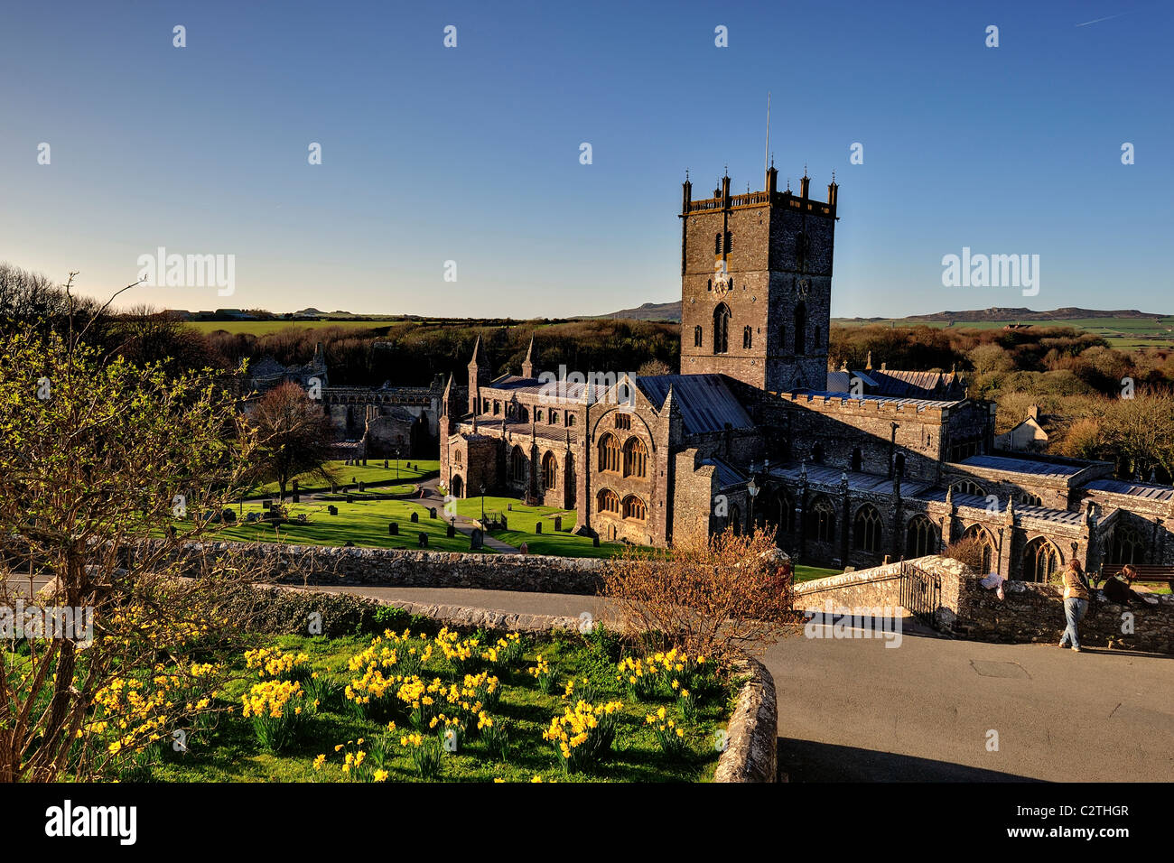 St David's Cathedral Foto Stock