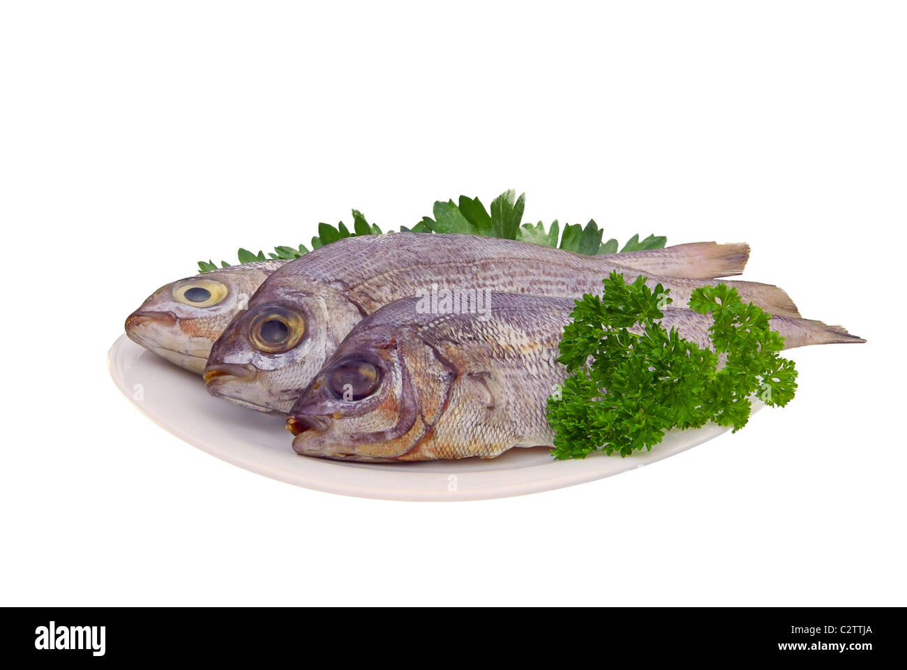 Dorade - dorate orate di testa 16 Foto Stock
