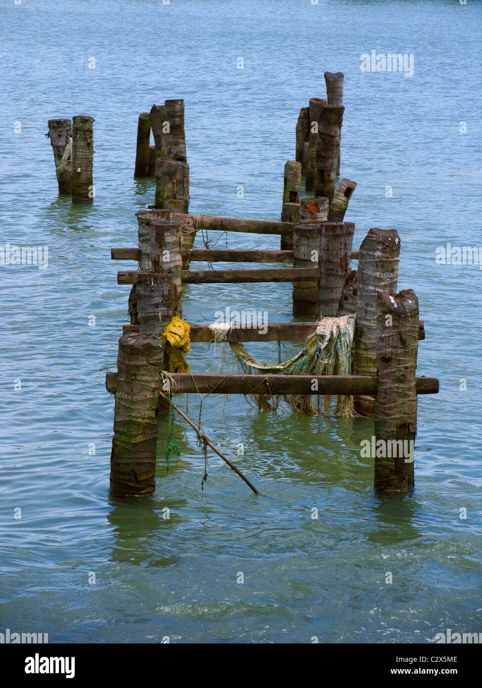 Rotture di pontile in legno, bridge per traghetti che conduce verso un dock, Kerala, India Foto Stock