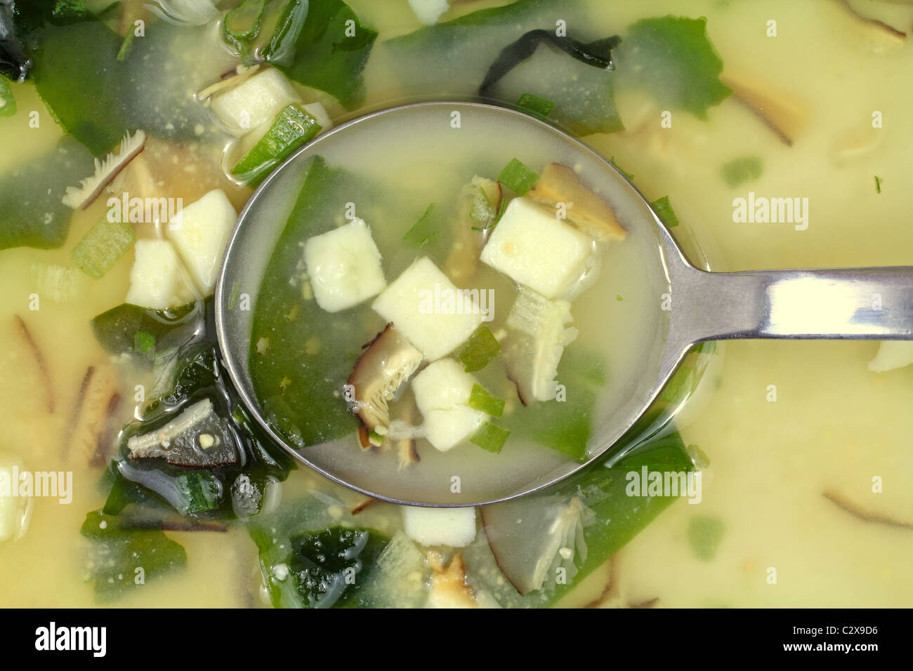 Bianco zuppa di miso con cucchiaino Foto Stock