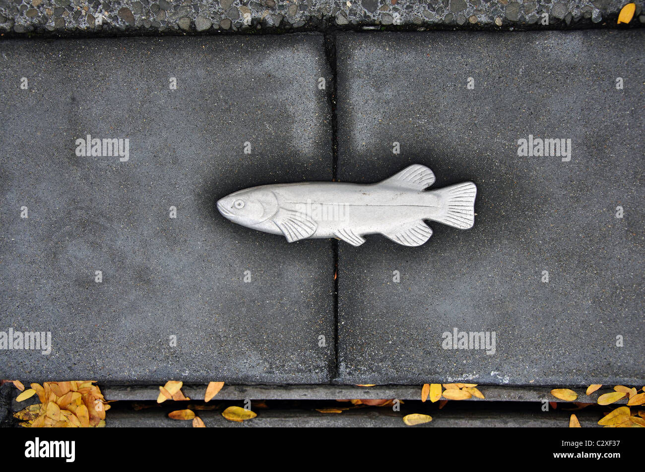 Simbolo di trota da marciapiede drain, Hamilton, regione di Waikato, Isola del nord, Nuova Zelanda Foto Stock