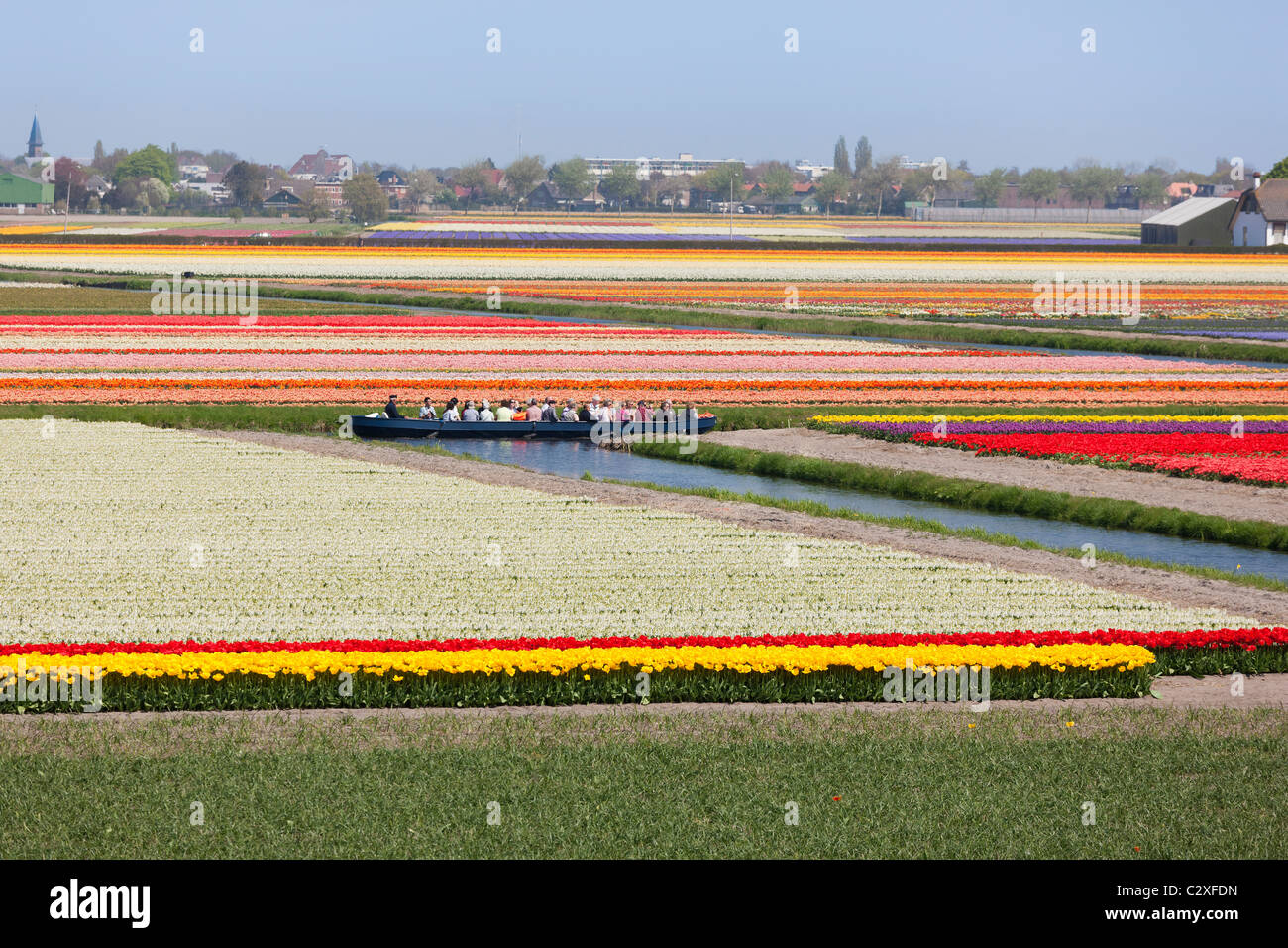 I visitatori in un viaggio attraverso la fioritura campi di tulipani da elettrico alimentato barca a Keukenhof Flower Garden in Lisse, Olanda. Foto Stock