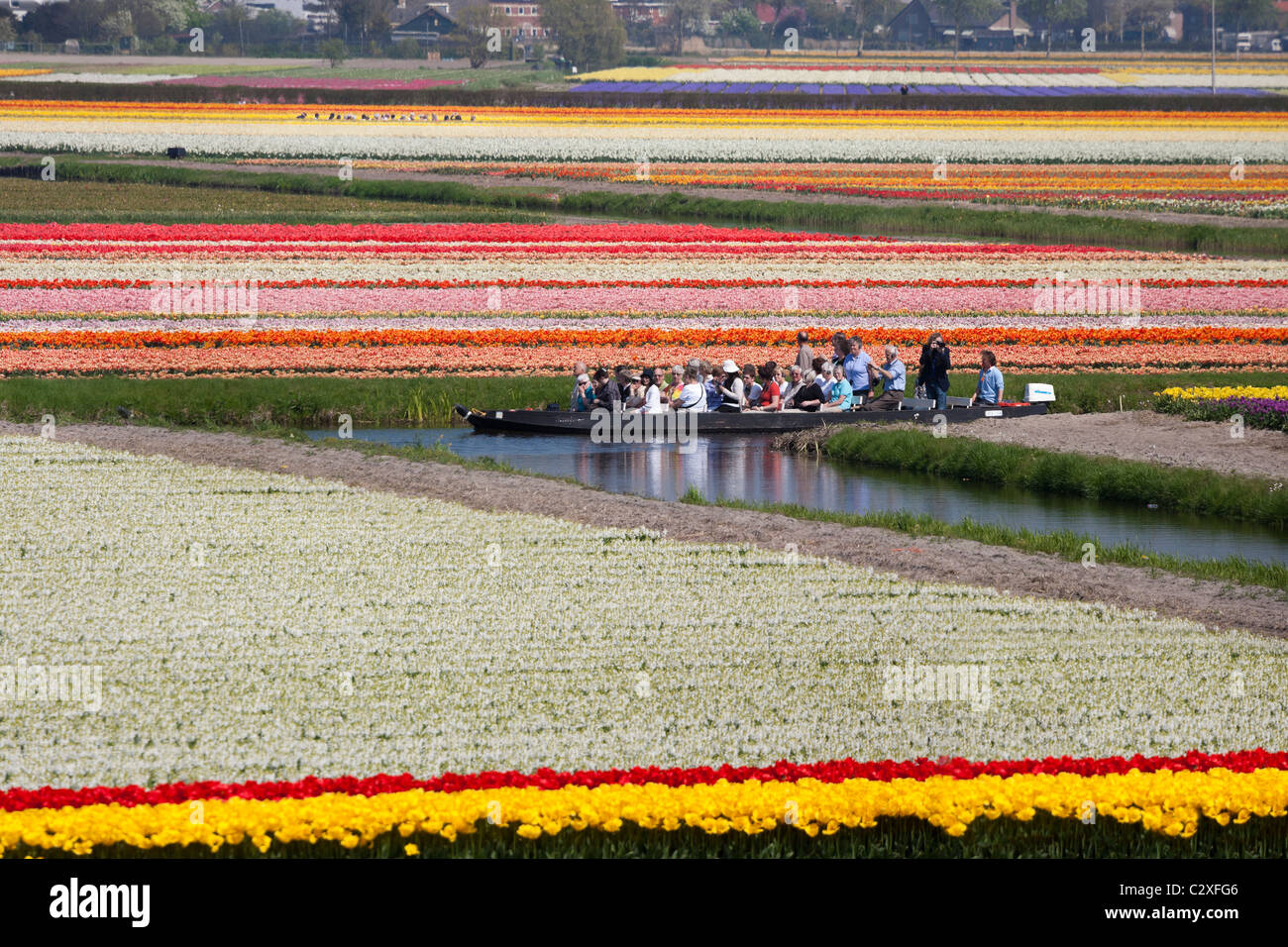 I visitatori in un viaggio attraverso la fioritura campi di tulipani da elettrico alimentato barca a Keukenhof Flower Garden in Lisse, Olanda. Foto Stock