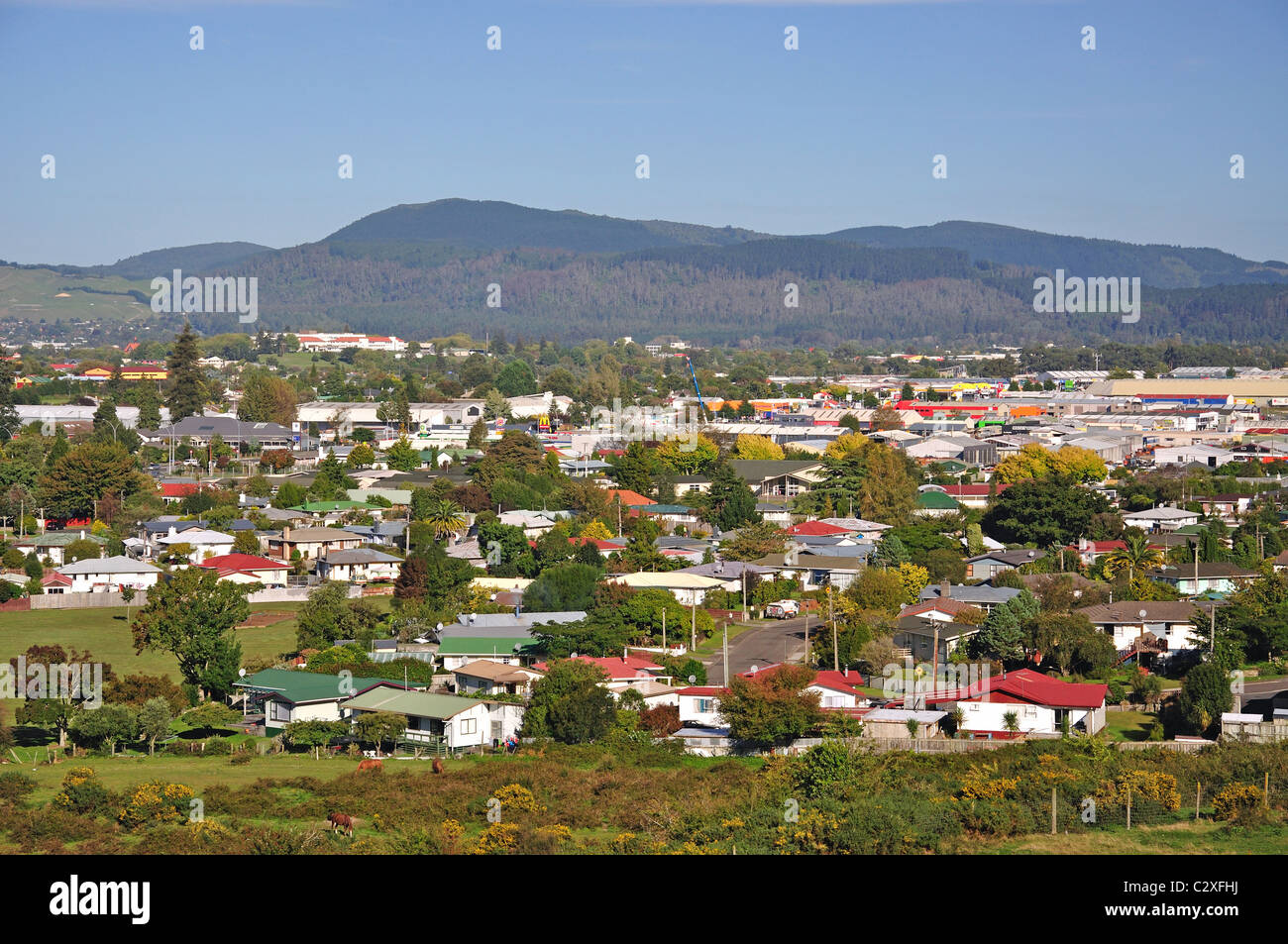 Vista della città dalla Skyline Gondola Skyrides Stazione, Rotorua, Baia di Planty Regione, Isola del nord, Nuova Zelanda Foto Stock