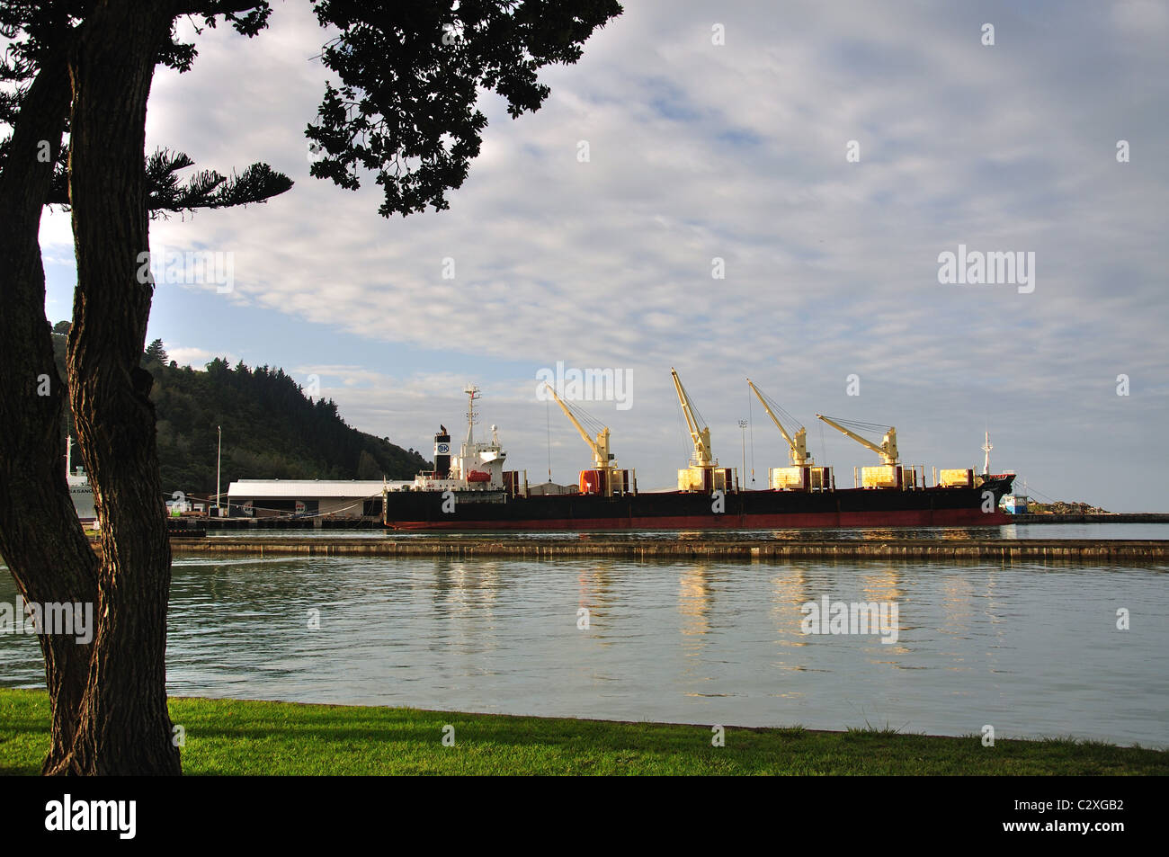 Il carico della nave nel porto di Gisborne, Gisborne, Gisborne Regione, Isola del nord, Nuova Zelanda Foto Stock