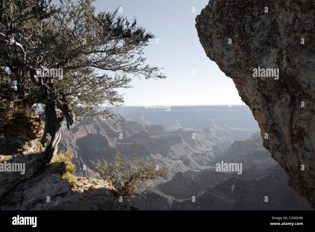 Il Grand Canyon, Arizona, Stati Uniti d'America Foto Stock