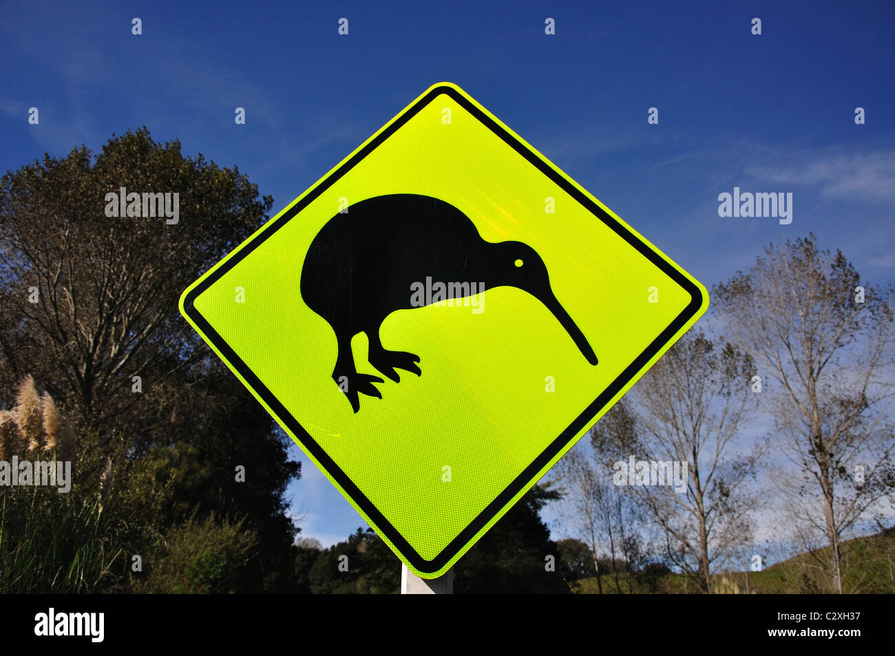 Kiwi cartello stradale, Wharekura Riserva, Ohope, Baia di Planty Regione, Isola del nord, Nuova Zelanda Foto Stock