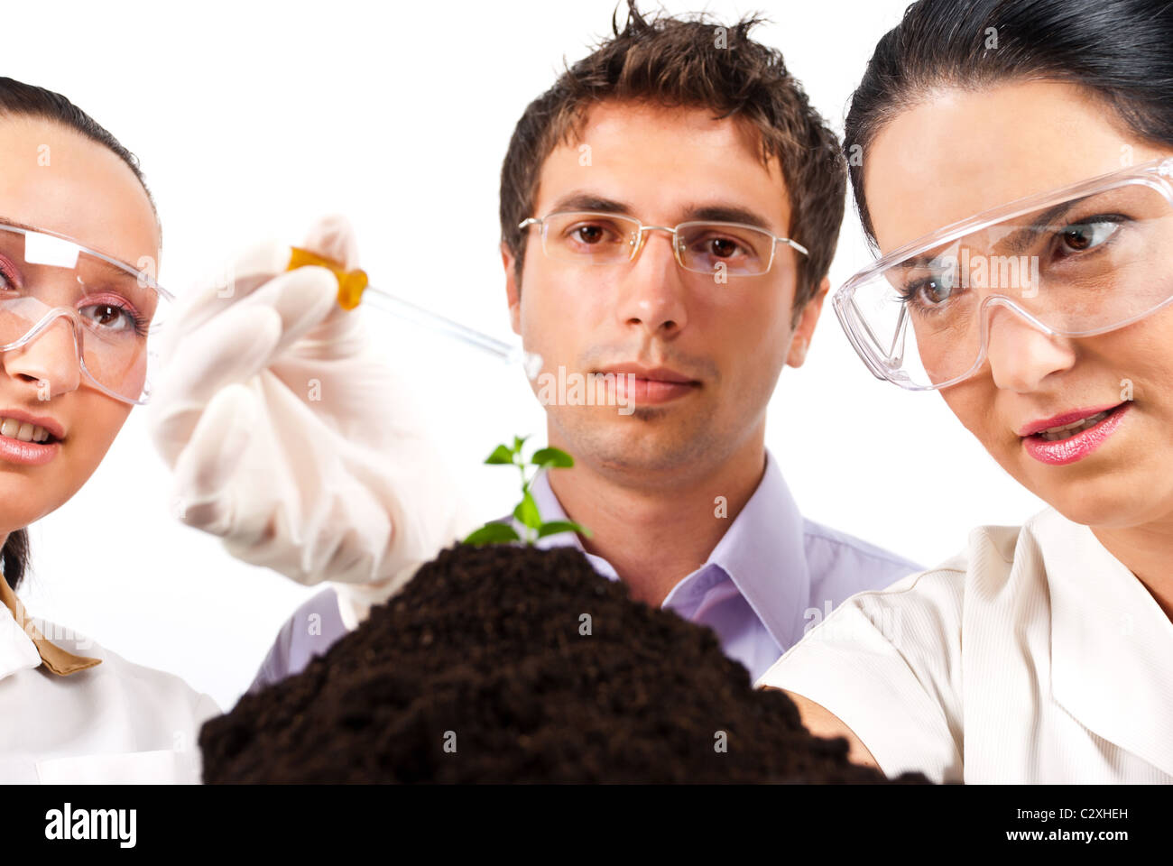 Close up di scienziati botanici team di lavoro in laboratorio,una donna tenendo una pipetta e versando il liquido su una pianta Foto Stock