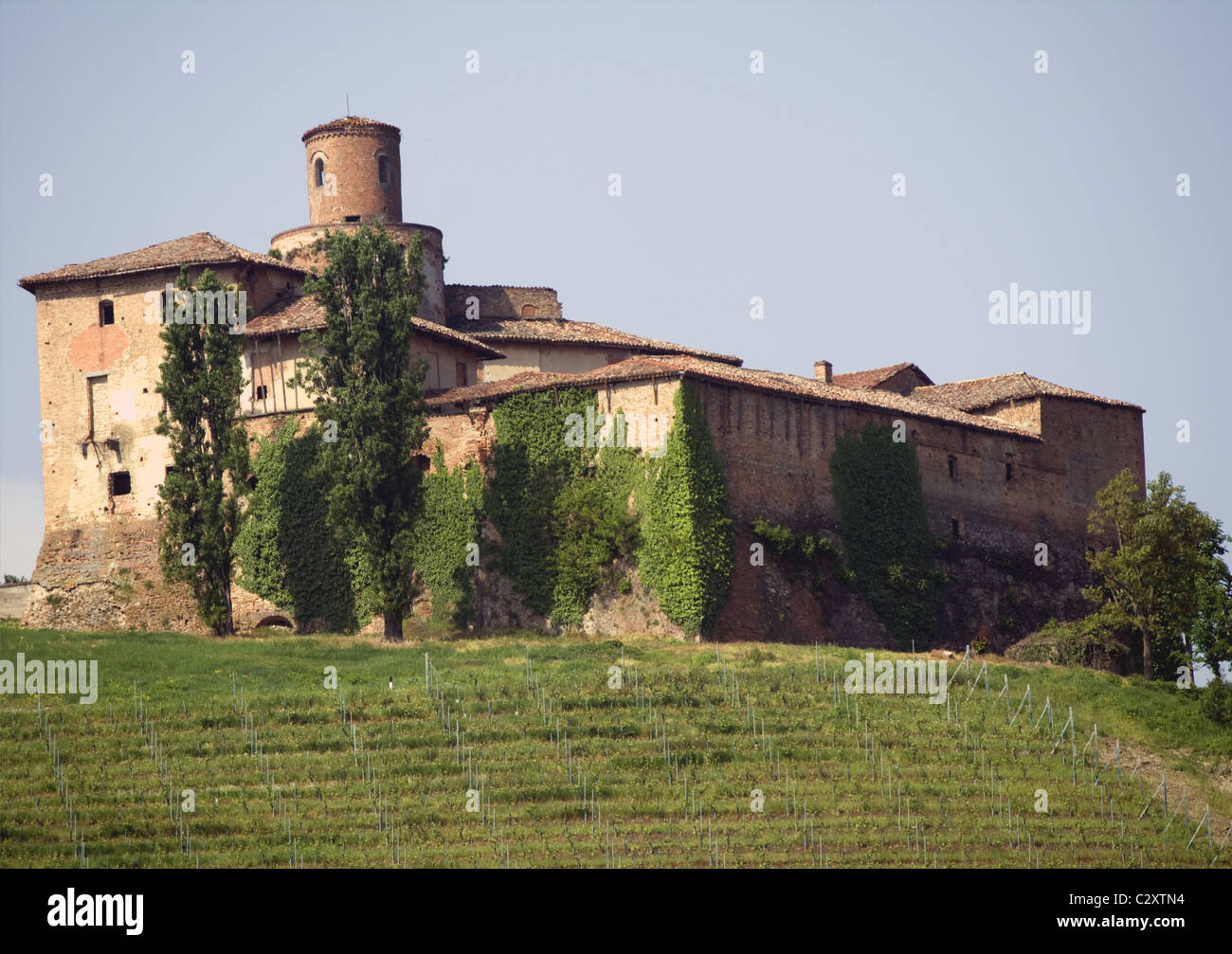 Castello di Barolo, Piemonte, Italia Foto Stock