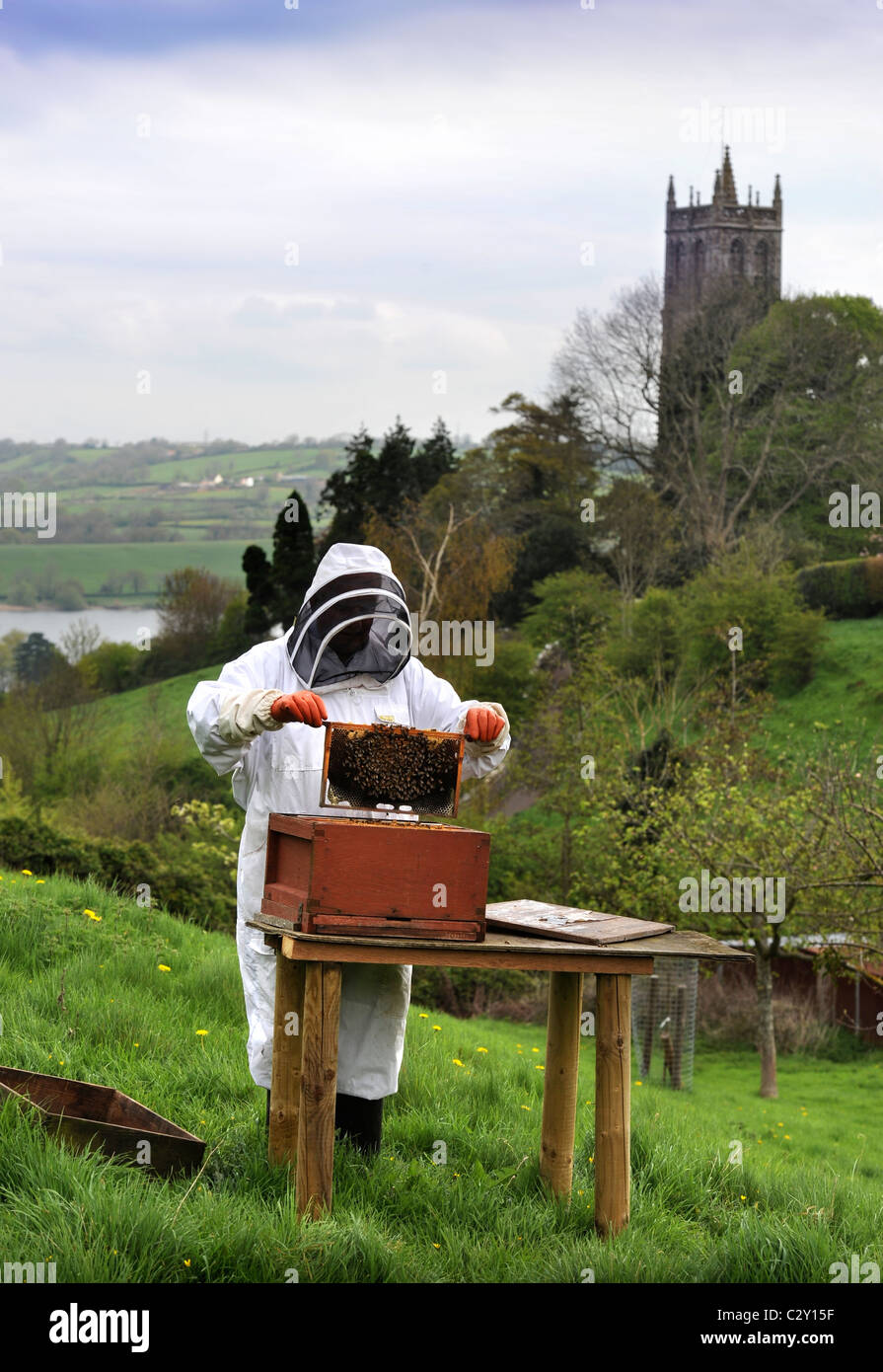 Un apicoltore assiste al suo alveare nel Somerset villaggio di Blagdon REGNO UNITO Foto Stock