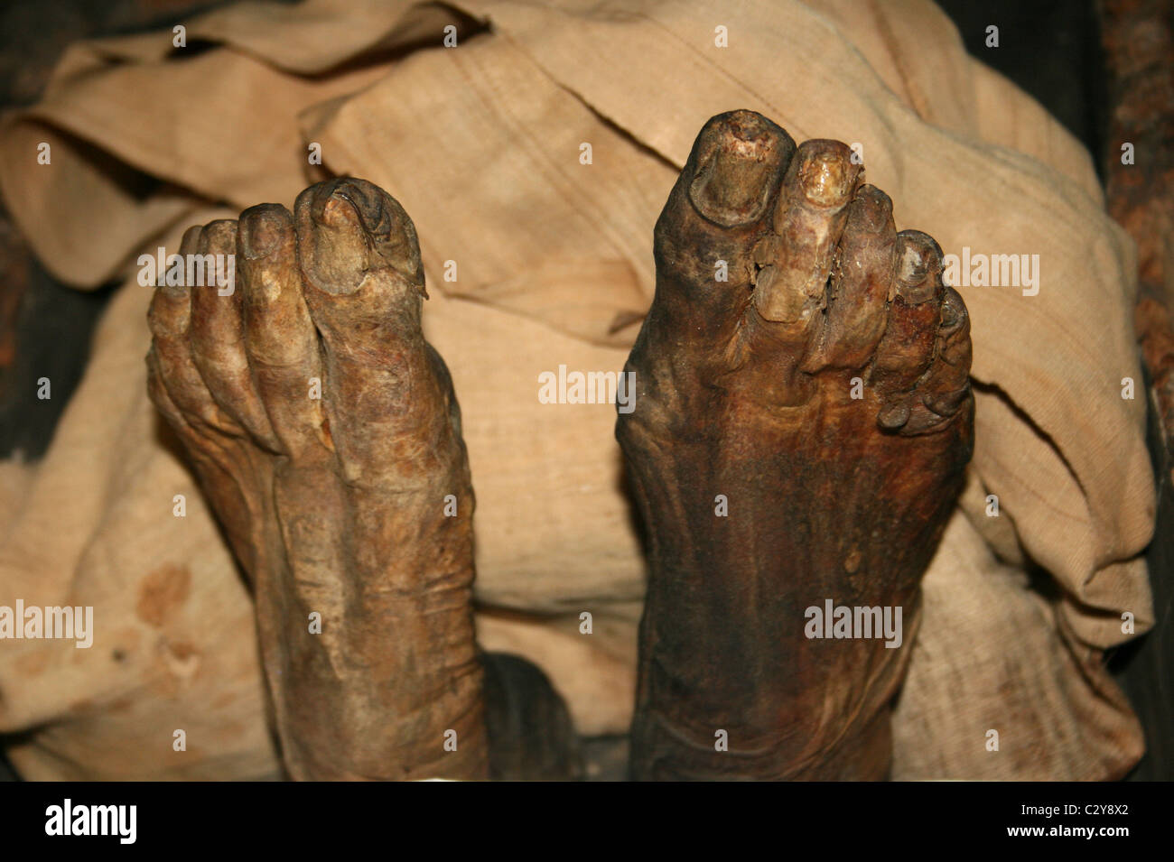 Piedi mummificati di Asru, un tempio Chantress da Tebe prese al Museo di Manchester, Inghilterra, Regno Unito Foto Stock