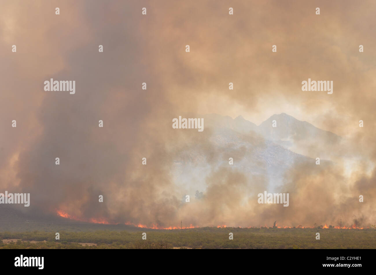 Bush Fire che è fuori controllo, fiamme, fumo, paesaggio Foto Stock