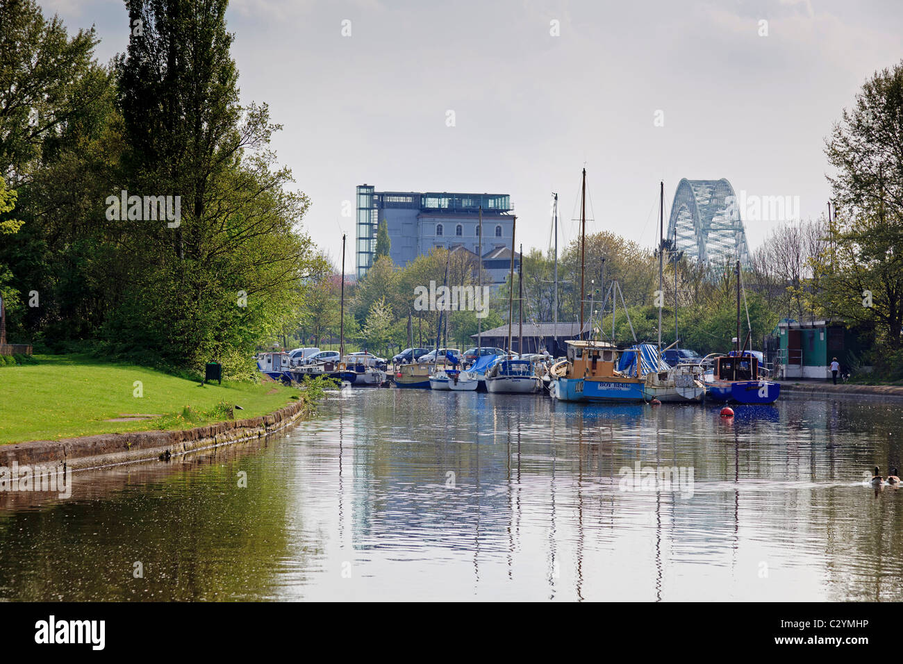Spike Island Widnes bacino yacht sul vecchio Sant Helens Sankey Valle Canal. Foto Stock