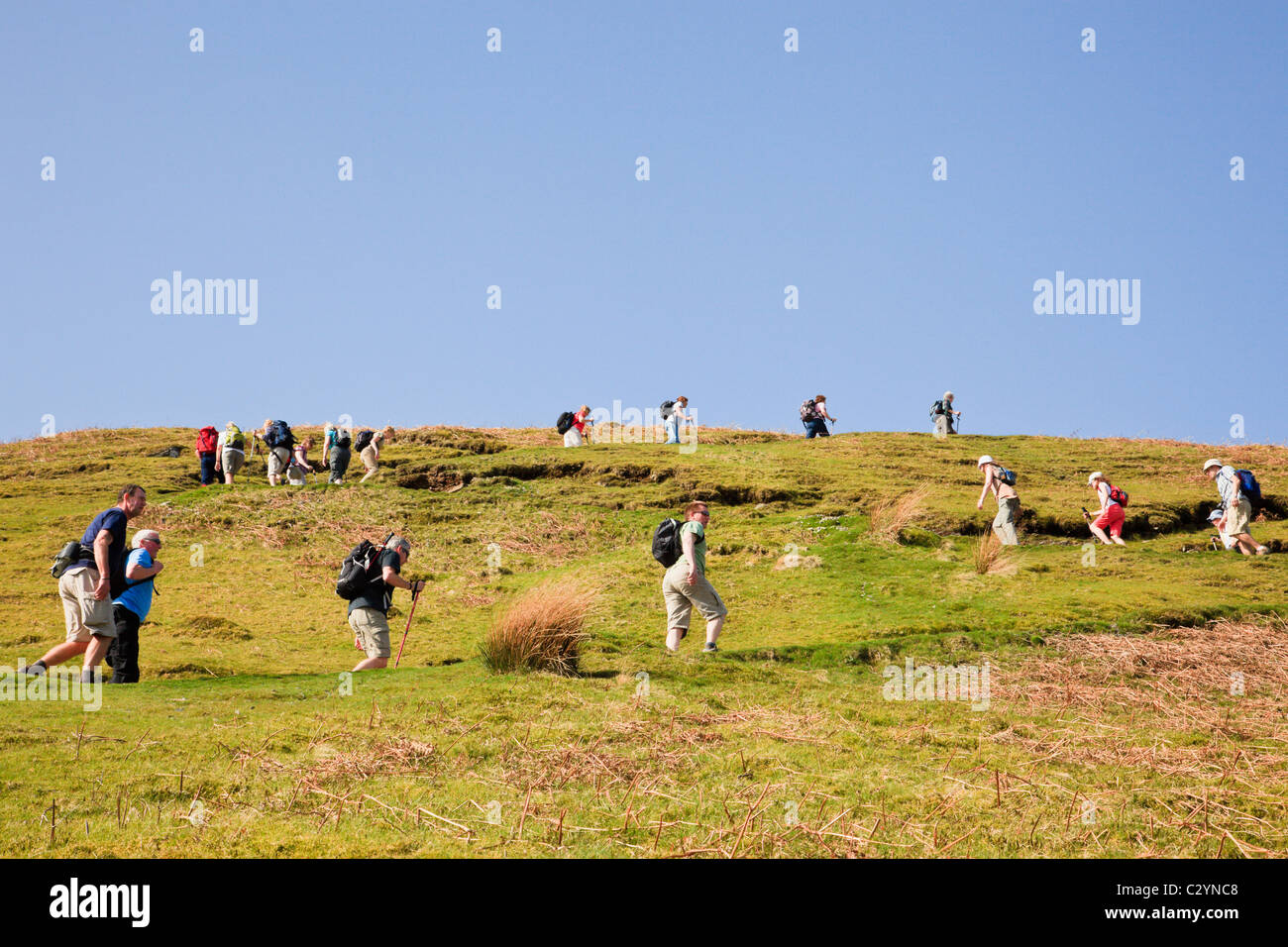 Cumbira, Inghilterra, Regno Unito. Linea zig-zag di gente che camminava sul sentiero fino Catbells nel Parco Nazionale del Distretto dei Laghi sul weekend di occupato Foto Stock