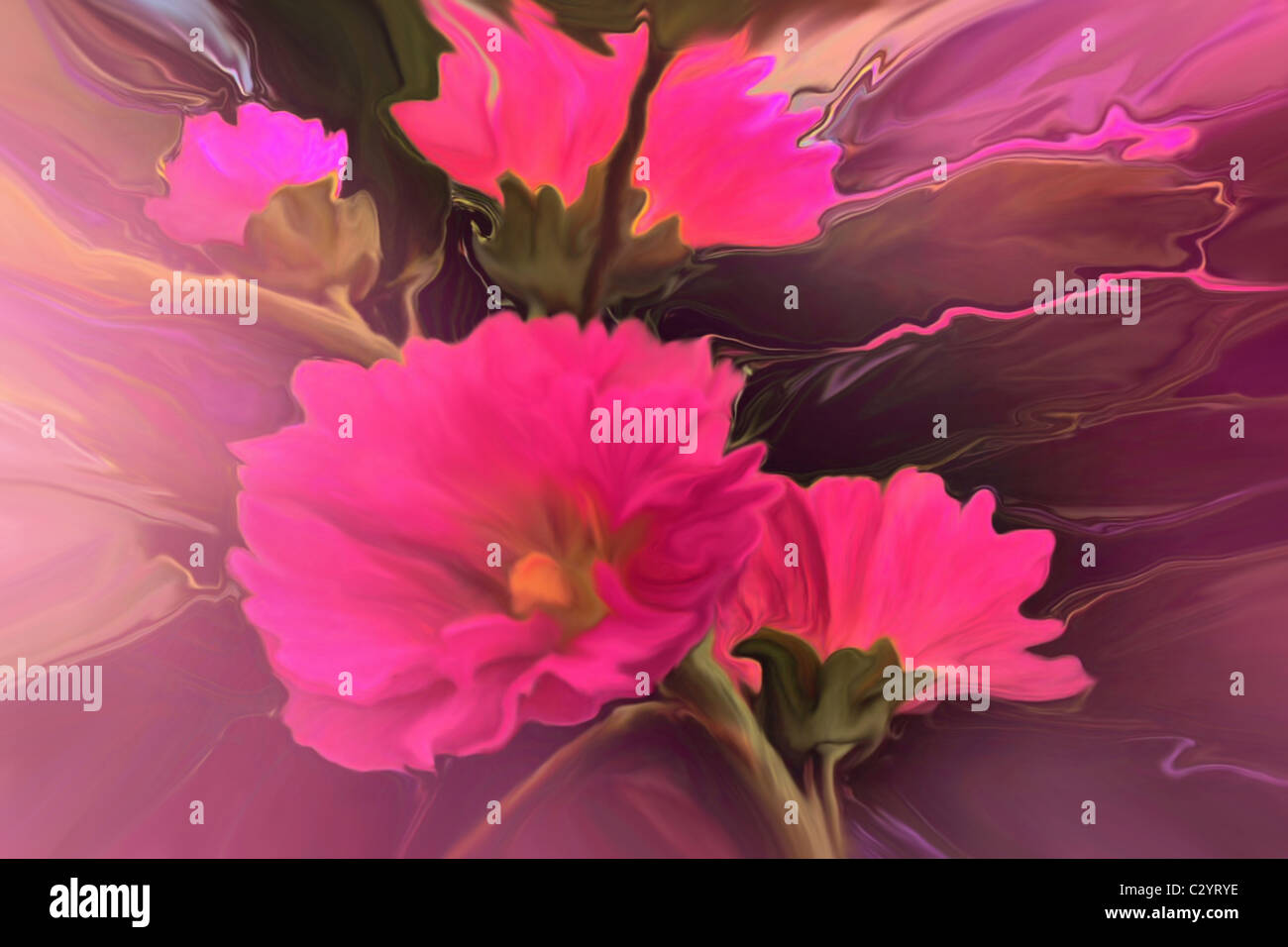 Una surreale bouquet di rosa caldo Hollyhock fiori. Foto Stock