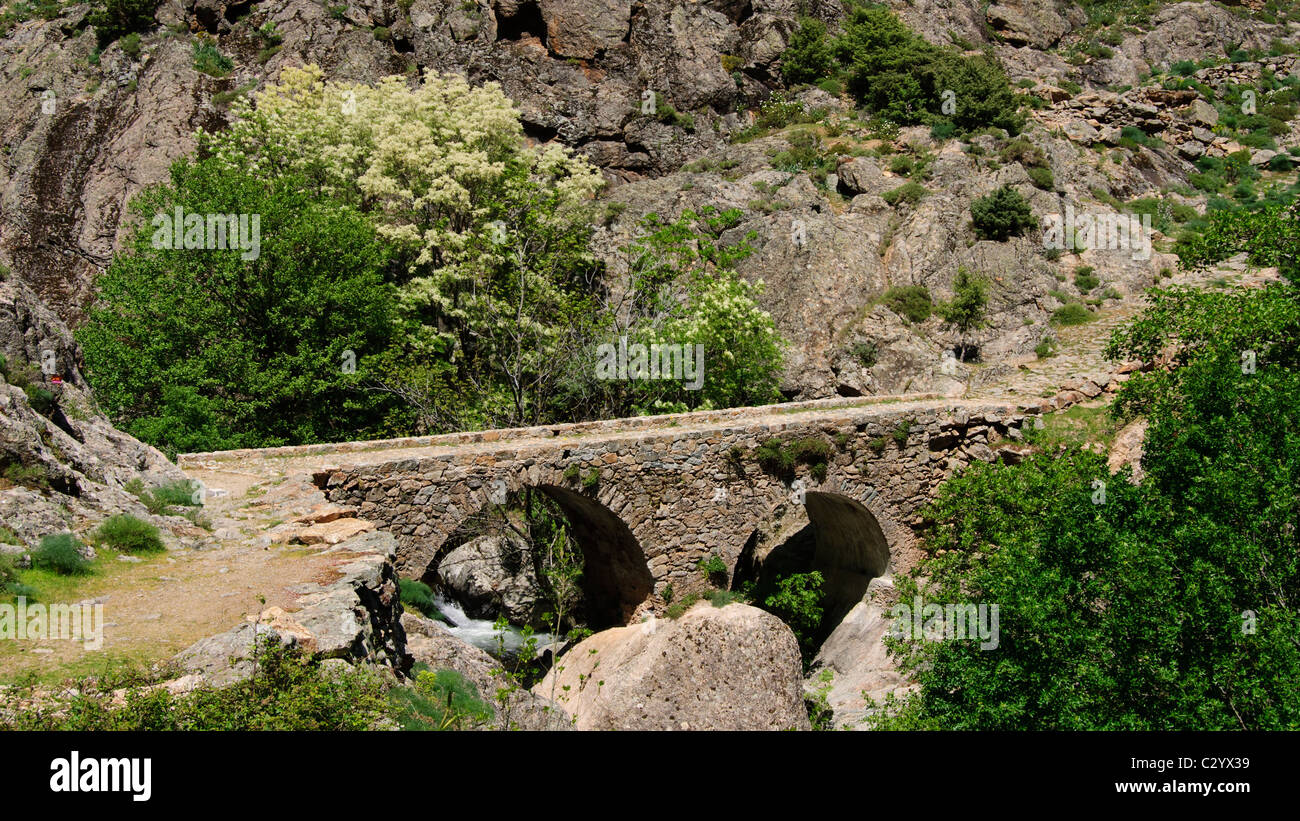 Antico ponte di Genova, Scala di Santa Regina, Corsica, Francia Foto Stock