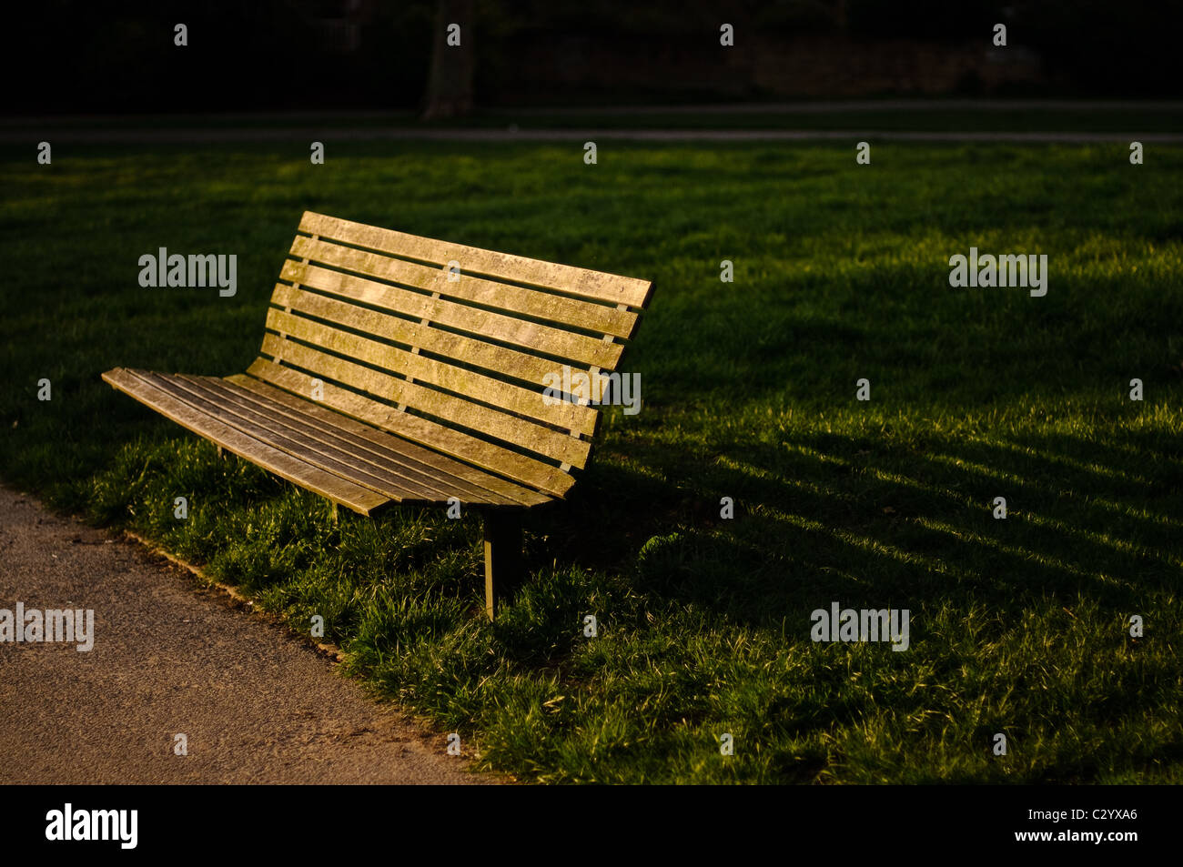 Una panchina nel parco in Primrose Hill, Londra, getta un ombra nella luce della sera Foto Stock