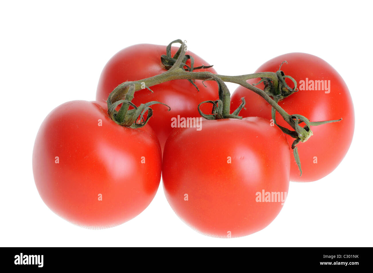 Il pomodoro isolato su un bianco di sfondo per studio Foto Stock