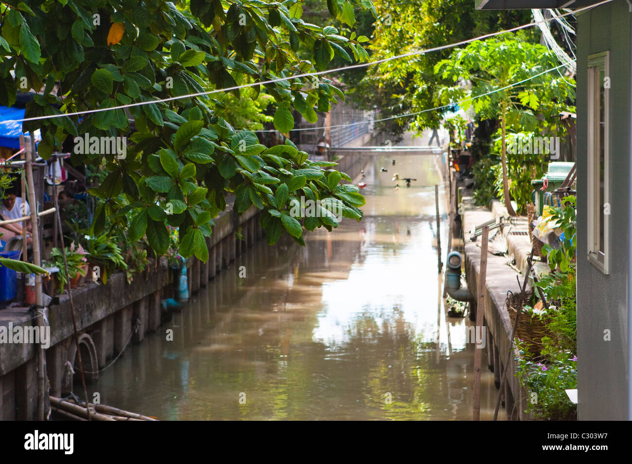 Bangkok: open drain Foto Stock