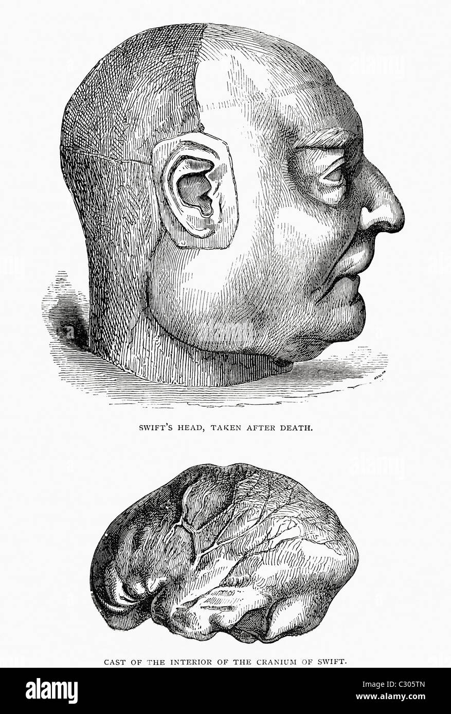Swift testa di presa dopo la morte, e cast dell'interno di Swift cranio. Da i viaggi di Gulliver pubblicato c.1875 Foto Stock