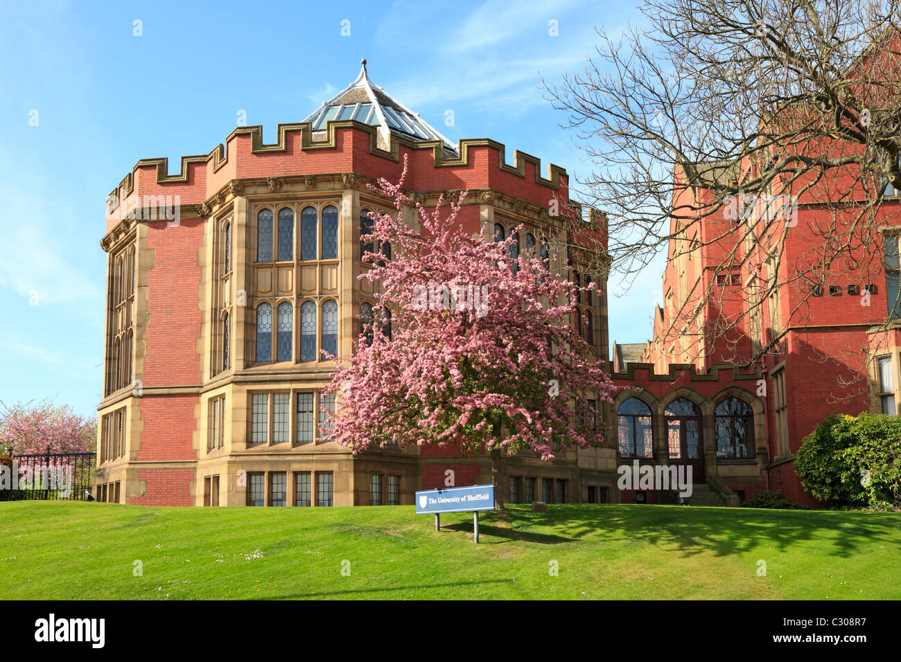 Blossom tree by La Rotunda, Firth corte, Università di Sheffield, Sheffield South Yorkshire, Inghilterra, Regno Unito. Foto Stock