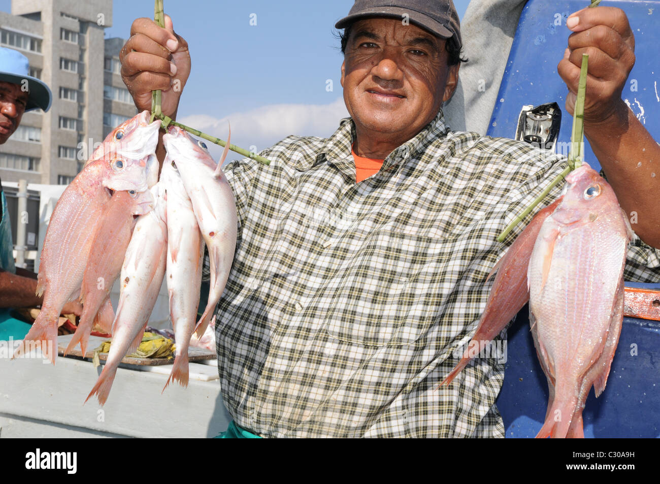 Un pescatore, la vendita del pesce, un pescatore che mostra la sua cattura, la vendita di pesce da un peschereccio, pesce Foto Stock
