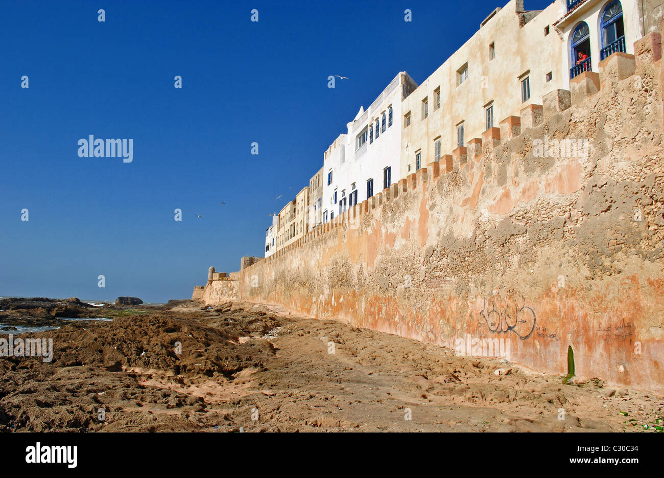 Bastioni di Essaouira, Marocco Foto Stock