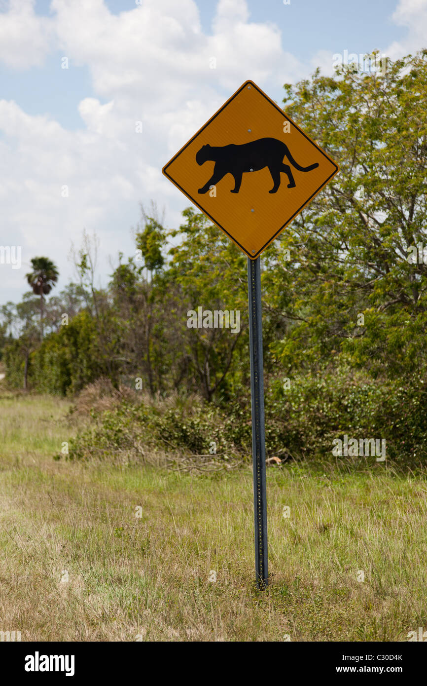 Panther crossing sign in Everglades National Park in Florida del Sud Foto Stock