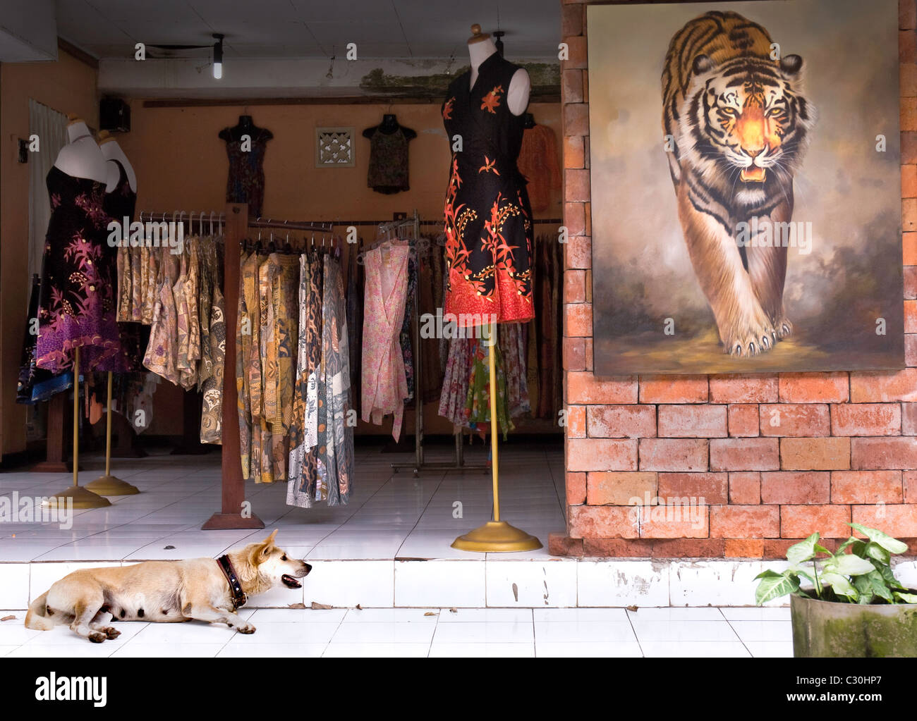 Negozio Balinese visualizzazione di vestiti e di essere custodita da un cane. L'immagine della tigre anche appeso su una delle pareti. Foto Stock