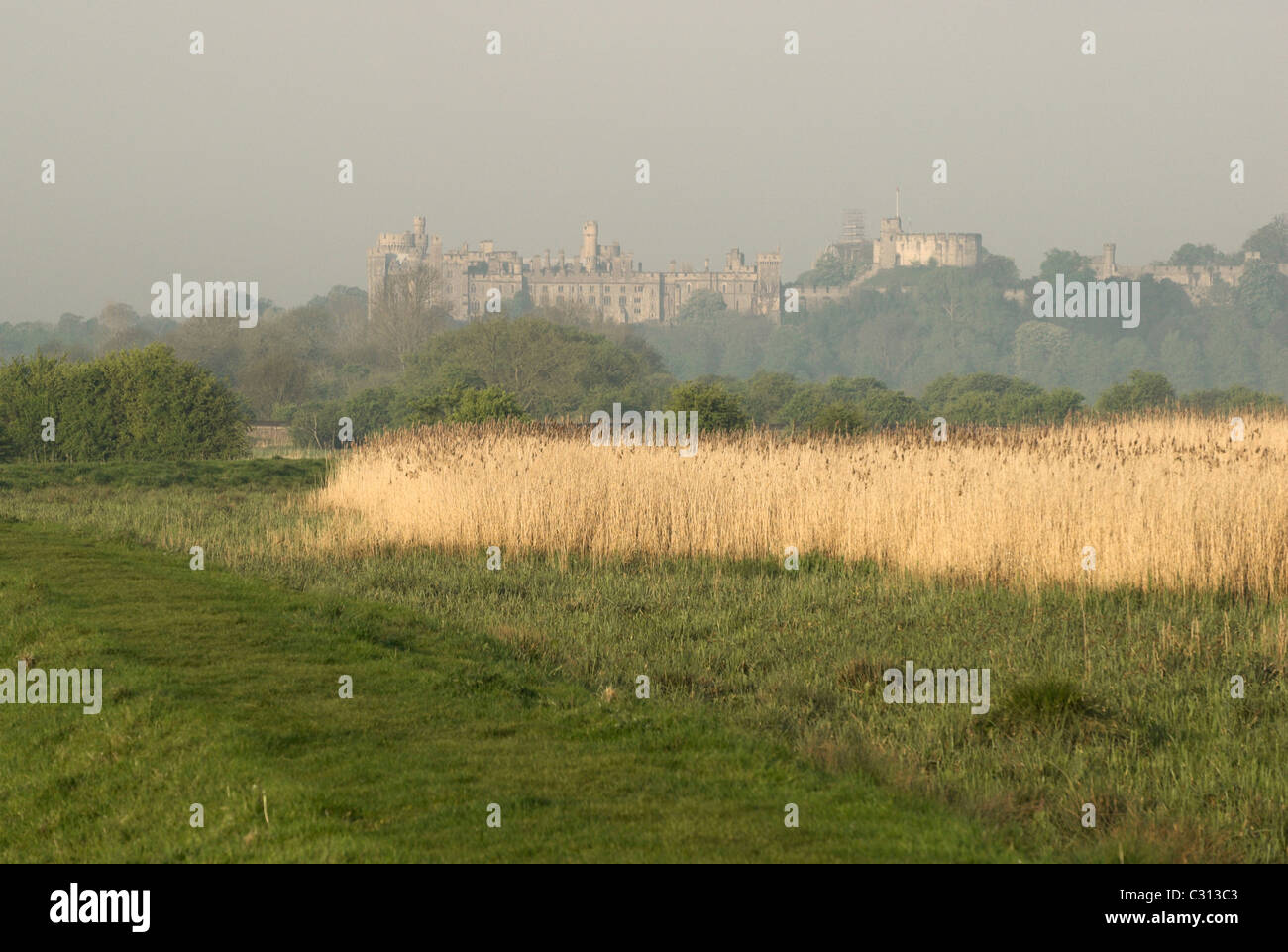 Un vago Arundel Castle dalle rive del fiume Arun nel West Sussex. Foto Stock