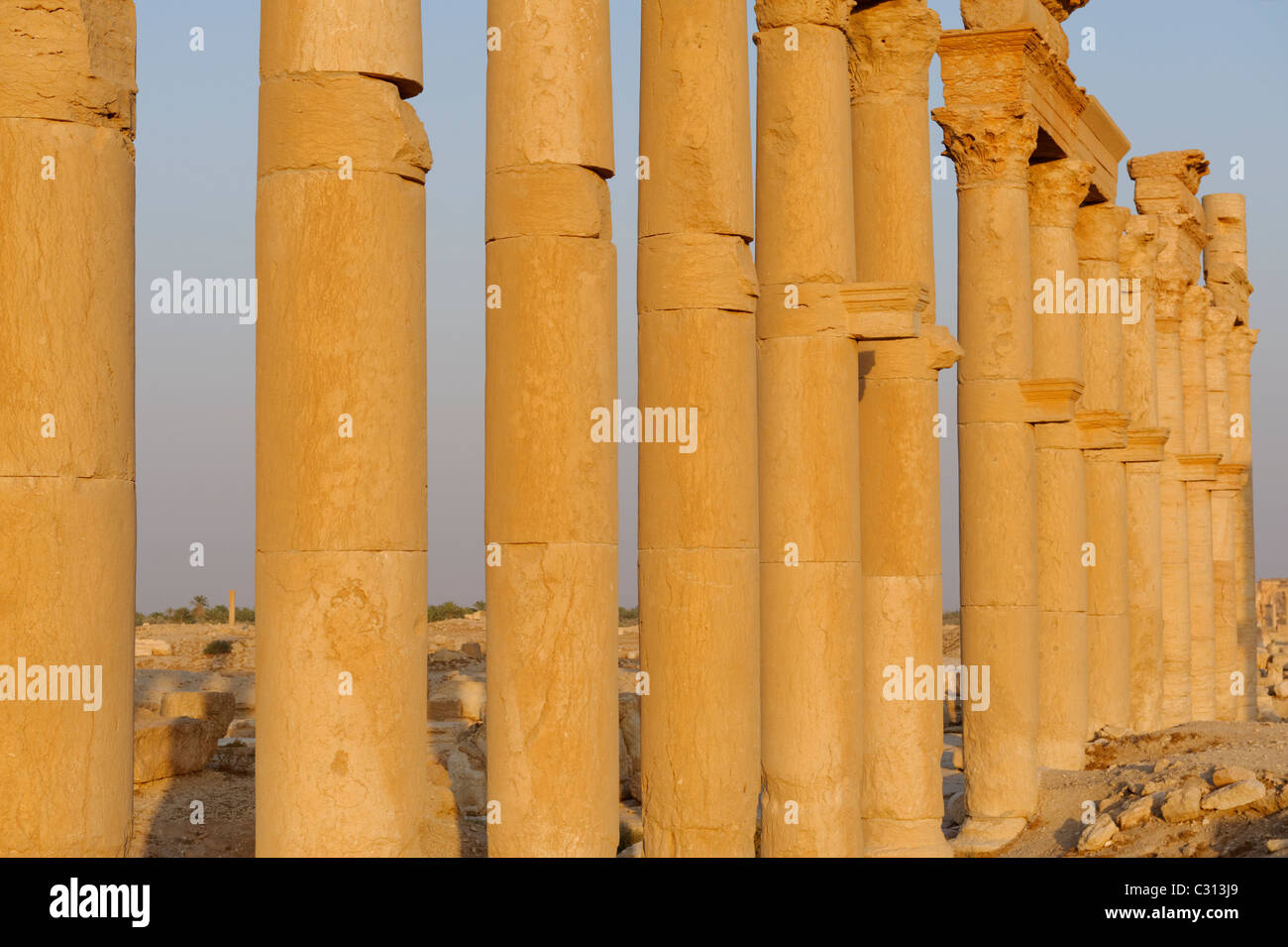 Palmyra. La Siria. Vista di alcuni dei pilastri e dei portici che la linea della sezione superiore del grande colonnato Street. Foto Stock