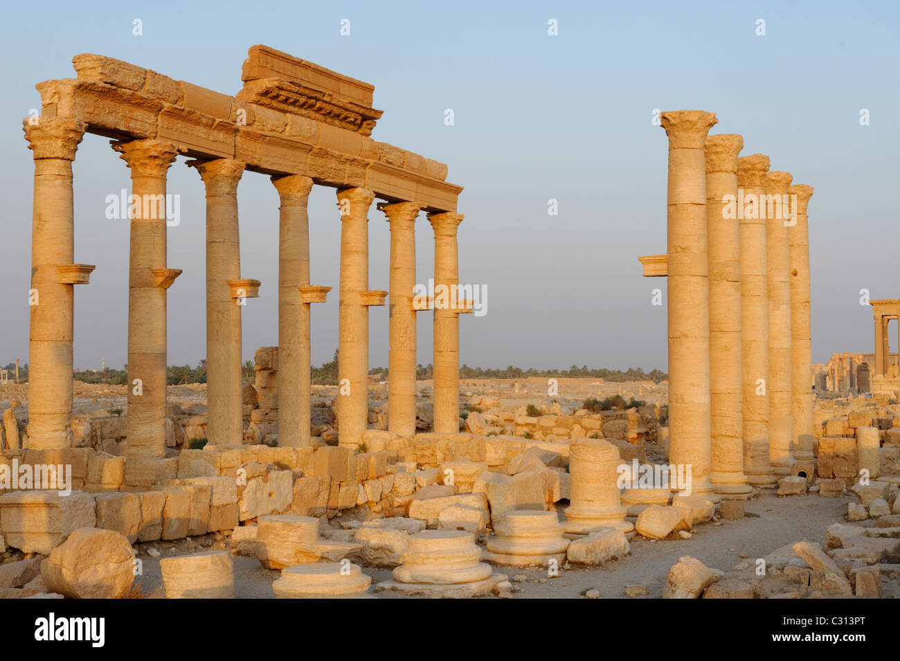 Palmyra. La Siria. I pilastri e i portici linea la sezione superiore del grande colonnato Street che inizia dal Tetrapylon. Foto Stock