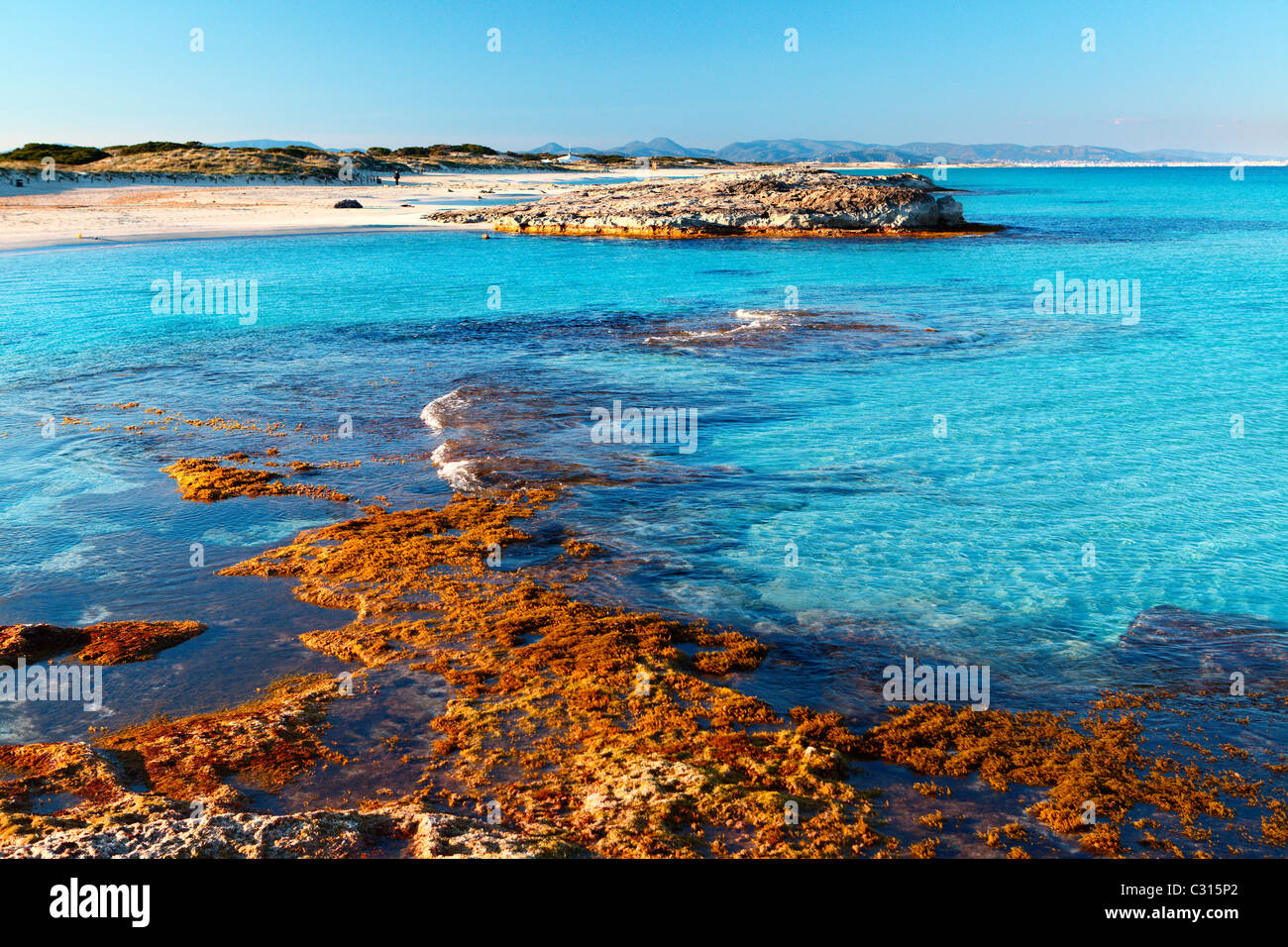 Una paradisiaca spiaggia nella zona di Illetas a Formentera, un'isola del mediterraneo della Spagna. Foto Stock