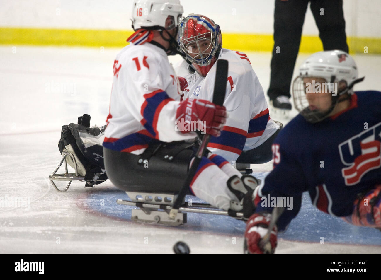 Primo semi-finale del mondo 2011 Sledge Hockey sfida tra Stati Uniti e Norvegia. Foto Stock