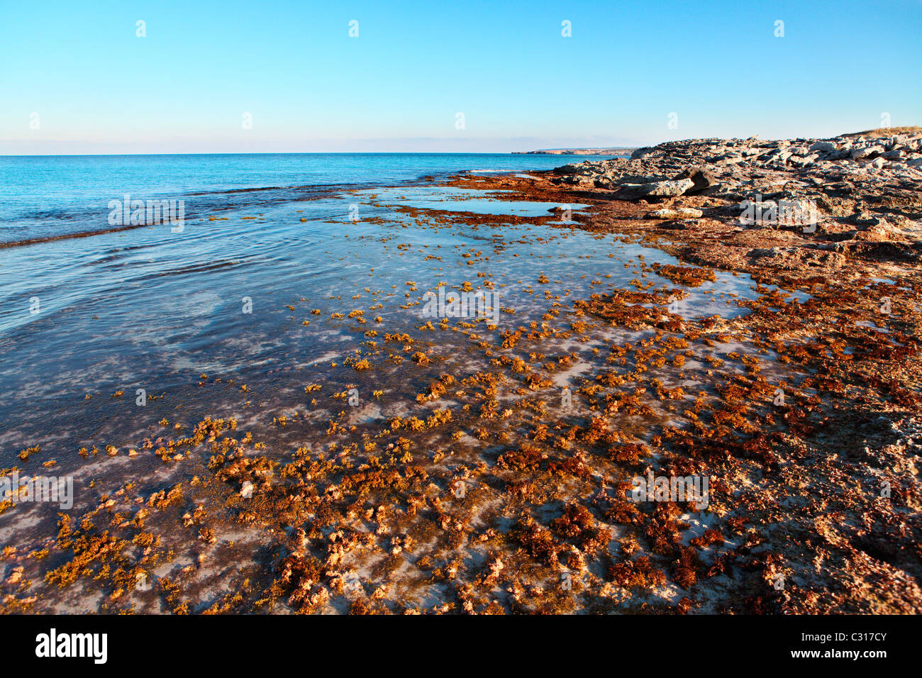 Una paradisiaca spiaggia nella zona di Illetas a Formentera, un'isola del mediterraneo della Spagna. Foto Stock