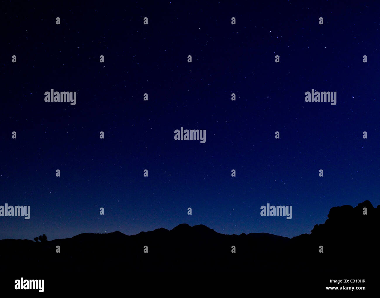 Silhouette di paesaggio del deserto contro blu cielo notturno Foto Stock