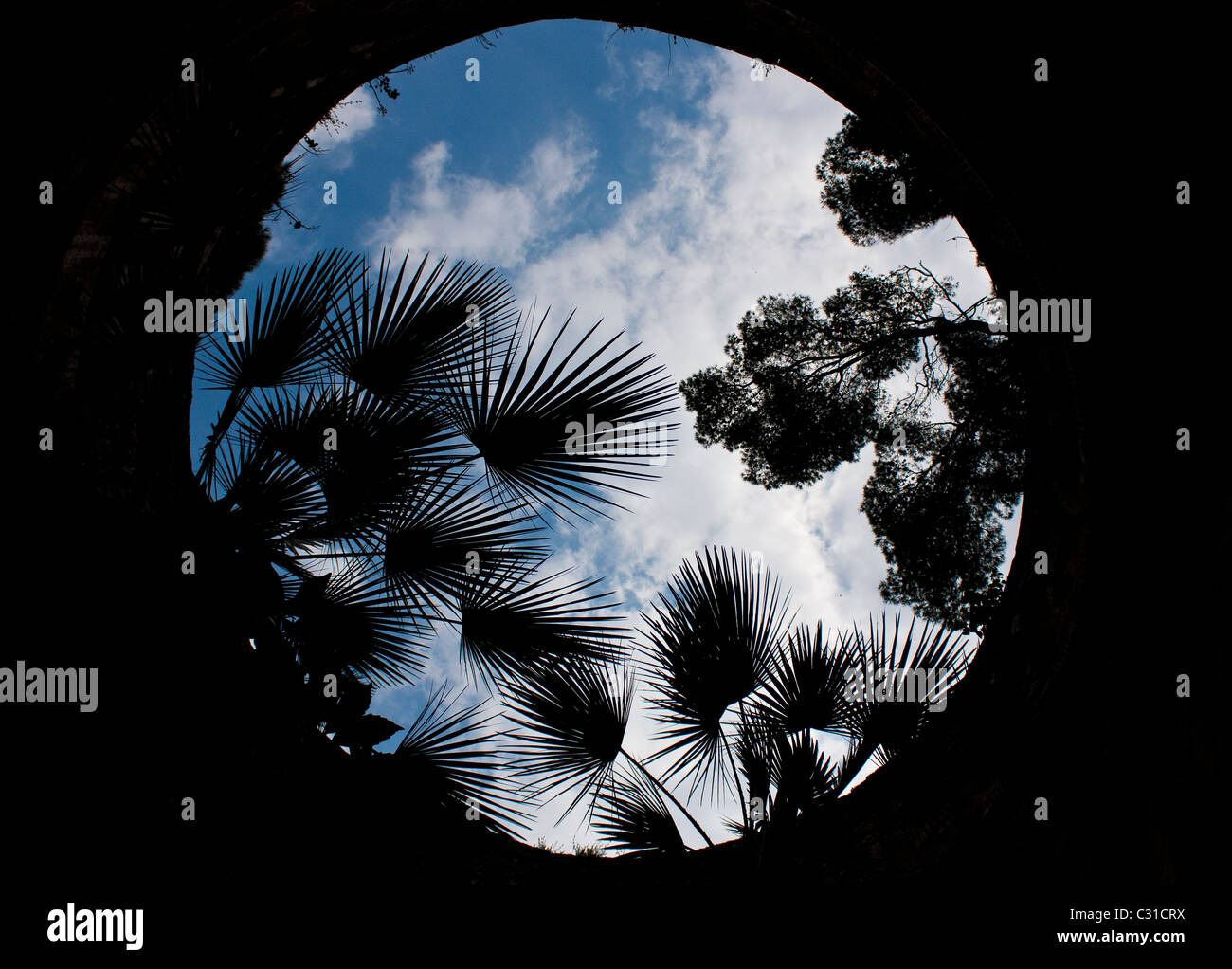 Vista verso l'alto dall'interno il Knight's Hall, Villa Rufolo a Ravello, Italia Foto Stock