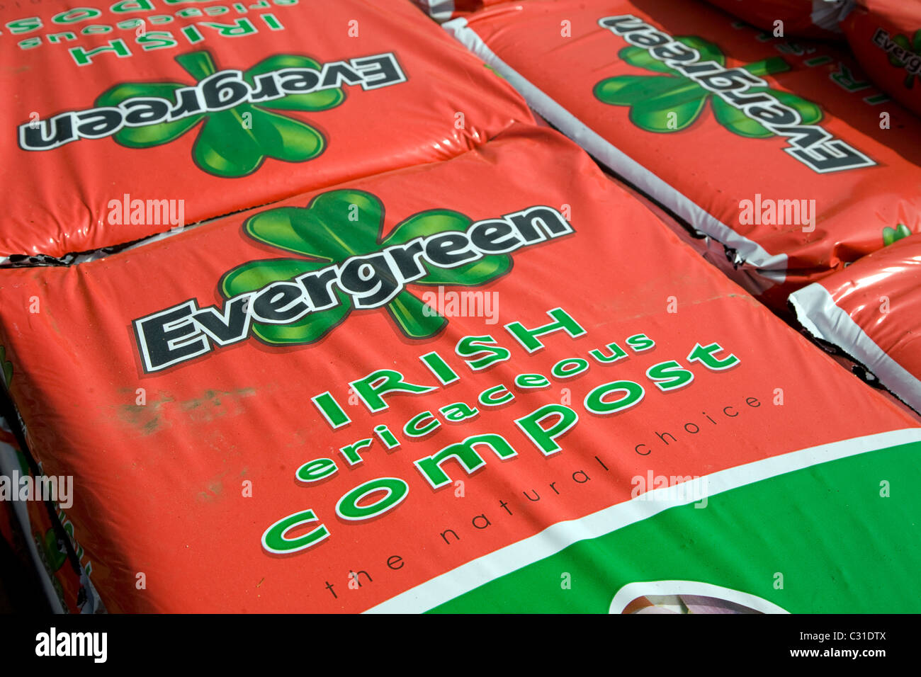 Sacchetti Plie Evergreen ericaceous irlandese compost Foto Stock