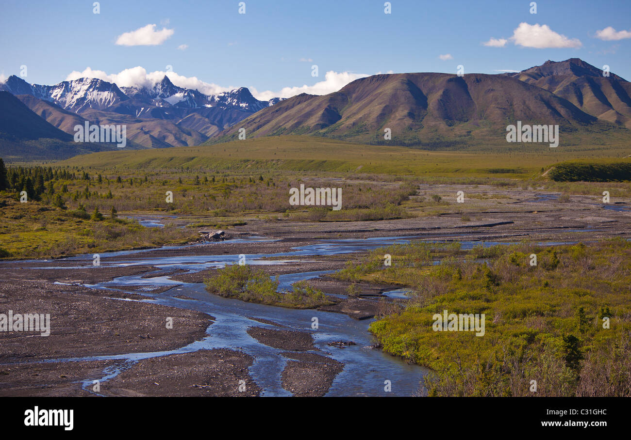 ALASKA, STATI UNITI D'AMERICA - Parco Nazionale di Denali. Foto Stock
