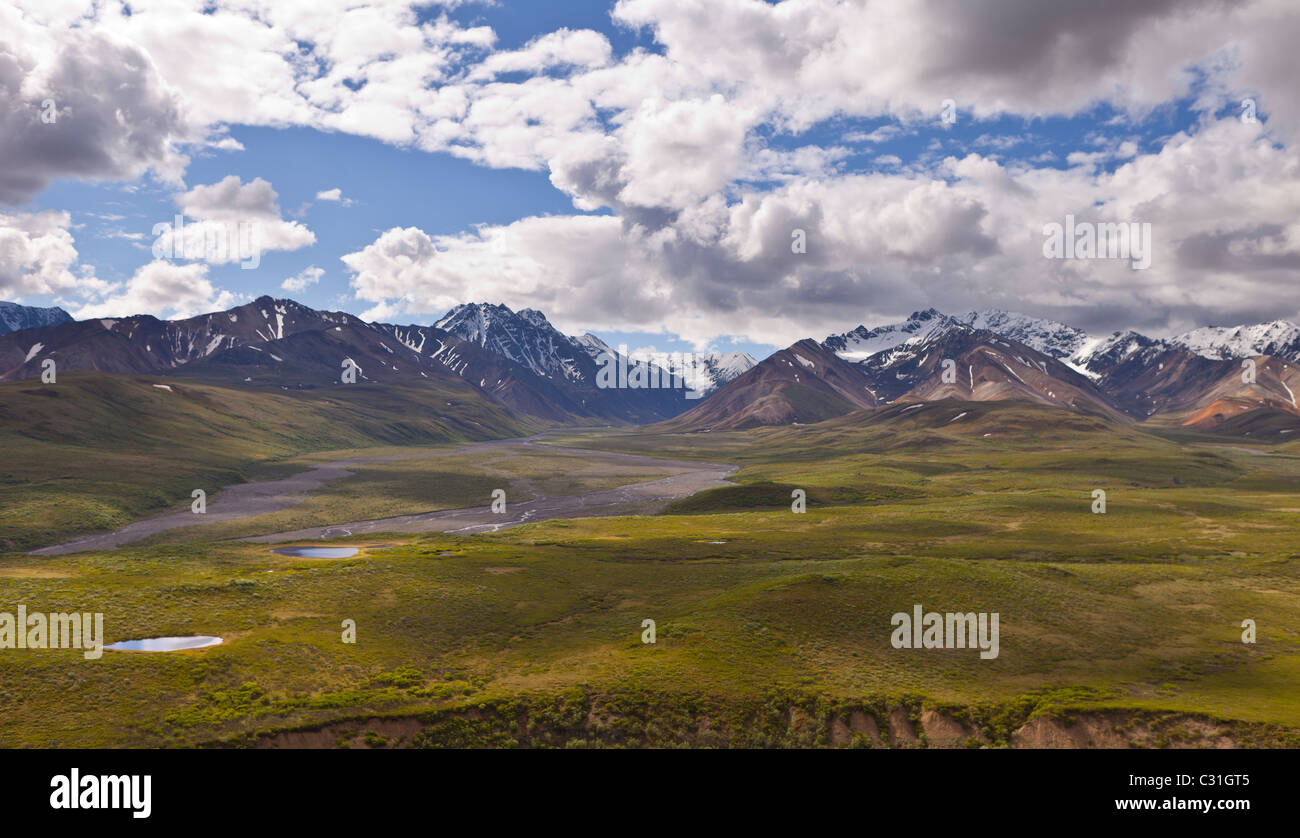 ALASKA, STATI UNITI D'AMERICA - Parco Nazionale di Denali. Foto Stock