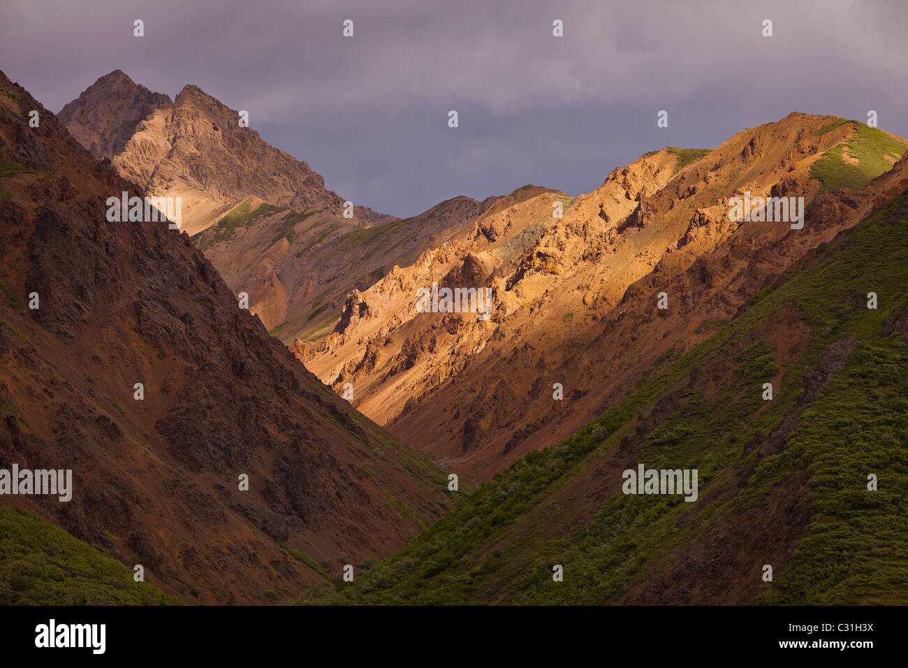 ALASKA, STATI UNITI D'AMERICA - deserto paesaggio di montagna nel Parco Nazionale di Denali. Foto Stock