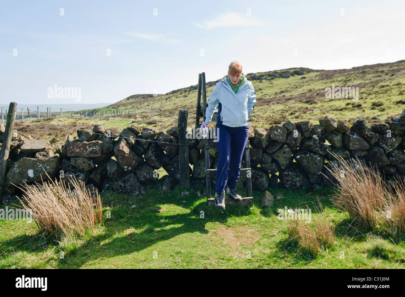 La donna si arrampica su un montante verticale su una pietra a secco in parete le colline di Antrim Foto Stock