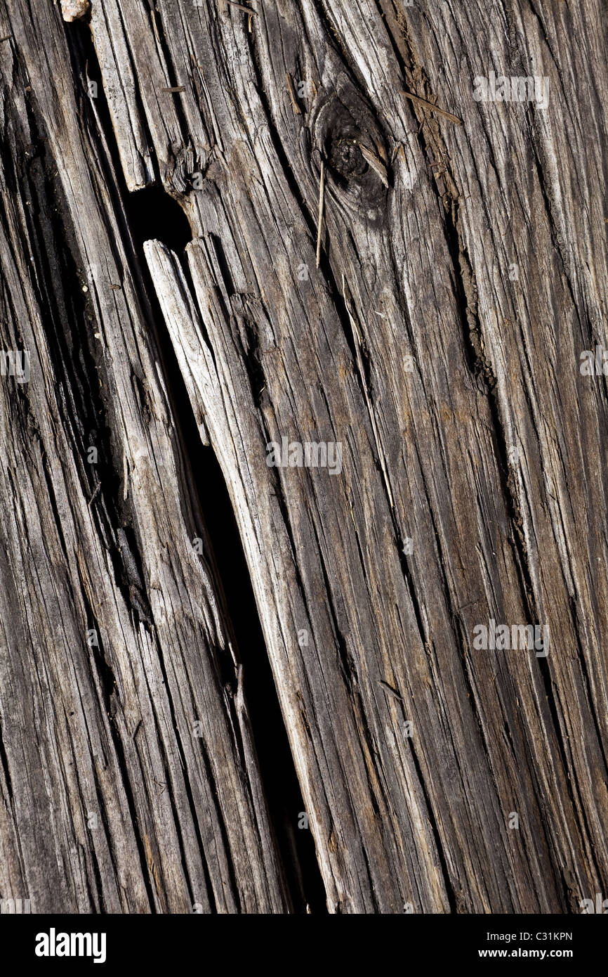 Texture di legno vicino fino per lo sfondo Foto Stock