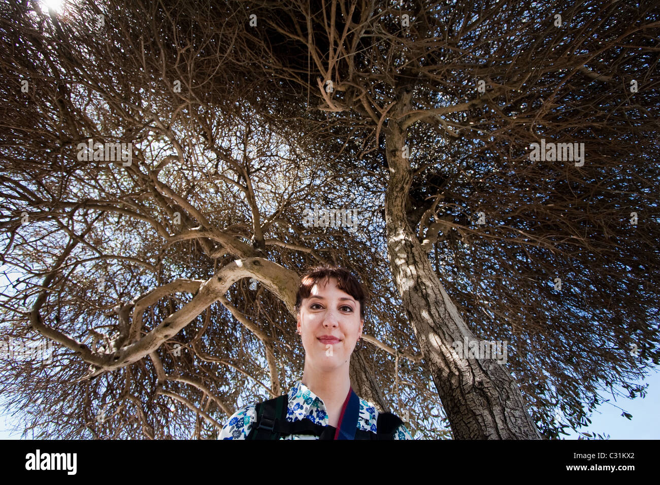 Una donna in piedi sotto un albero a. Foto Stock