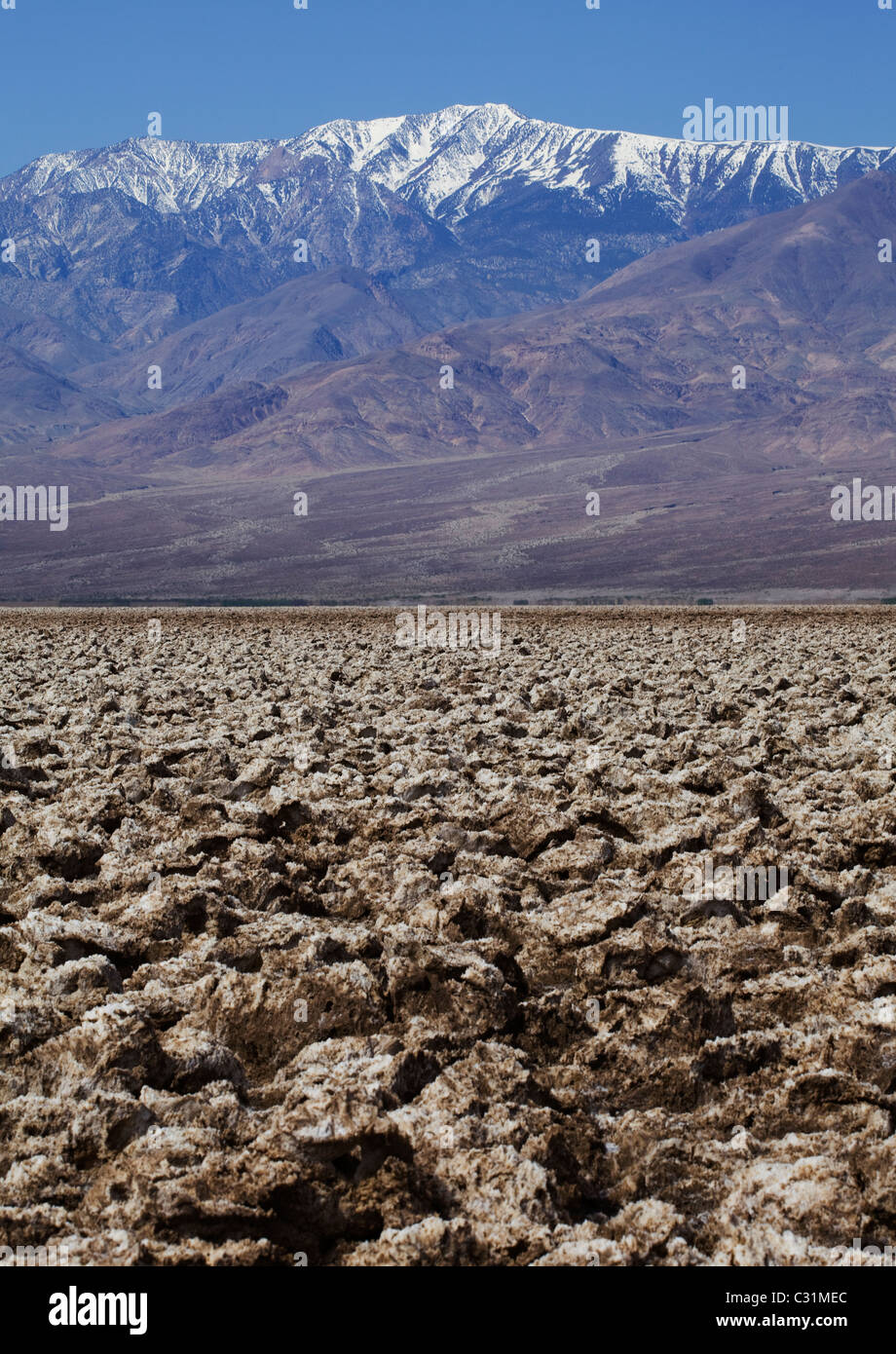 Salina, Devils Golf Course, Death Valley, California, Stati Uniti d'America Foto Stock