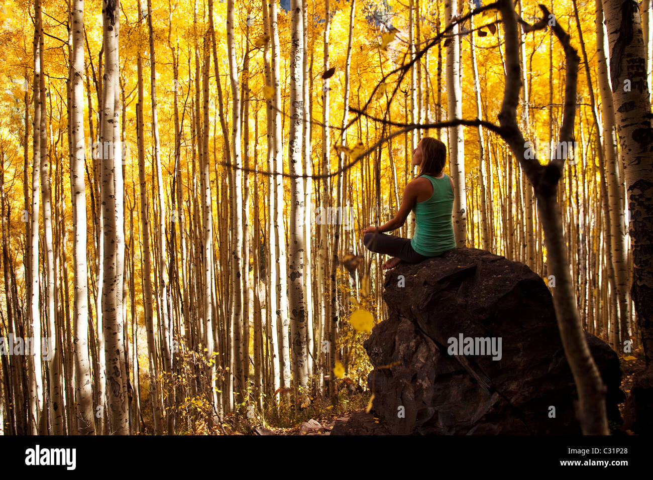 Una giovane donna medita pacificamente su una roccia nel mezzo di un mare di foglie dorate. Foto Stock