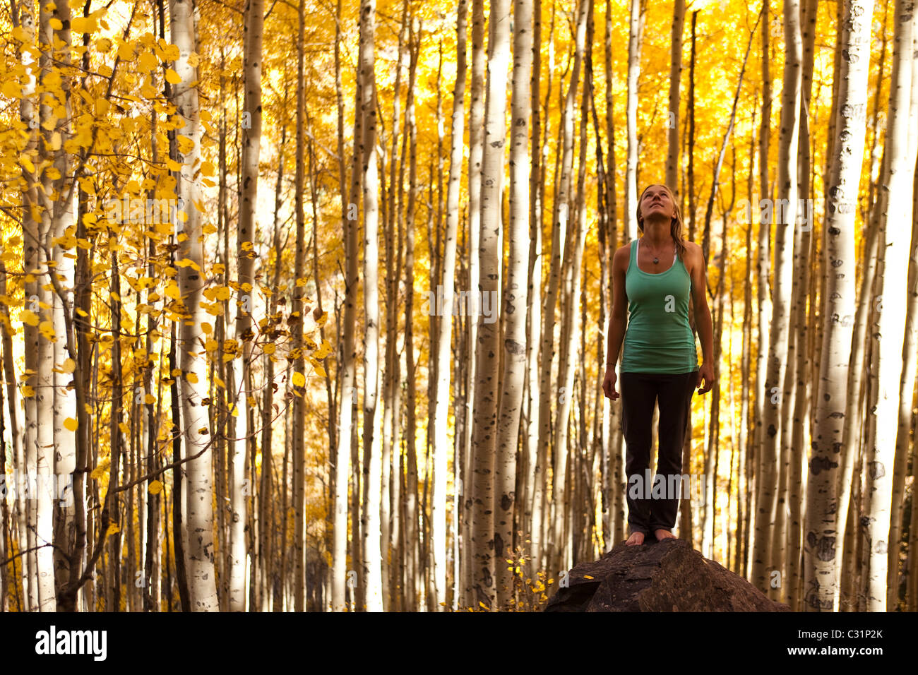 Una giovane donna in piedi pacificamente su una roccia nel mezzo di un mare di oro aspen foglie. Foto Stock