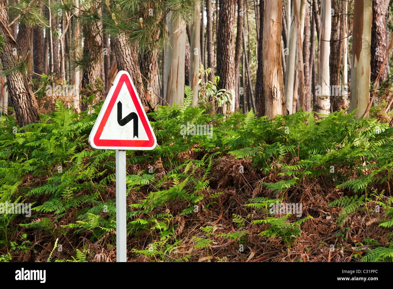 Curve di pericolo segnale di traffico con la foresta come sfondo Foto Stock